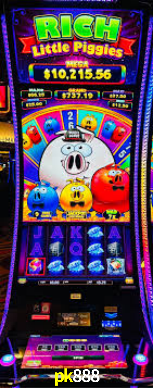 Interface Premium pk888